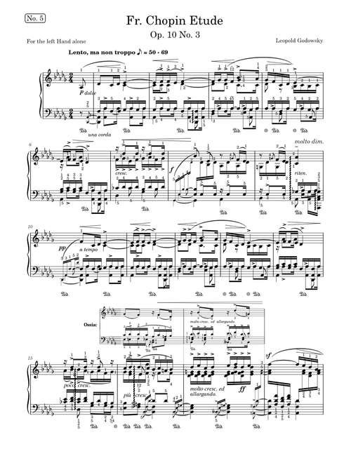 Chopin-Godowsky - Studies on Chopin's Études No. 5 in D-flat major after Op. 10 No. 3