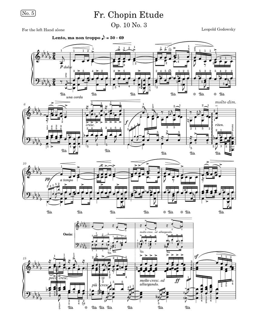 上下巻　GODOWSKY/Chopin Etudes Studies on Chopin's Études - Wikipedia