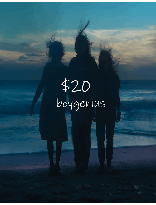 Boygenius - $20