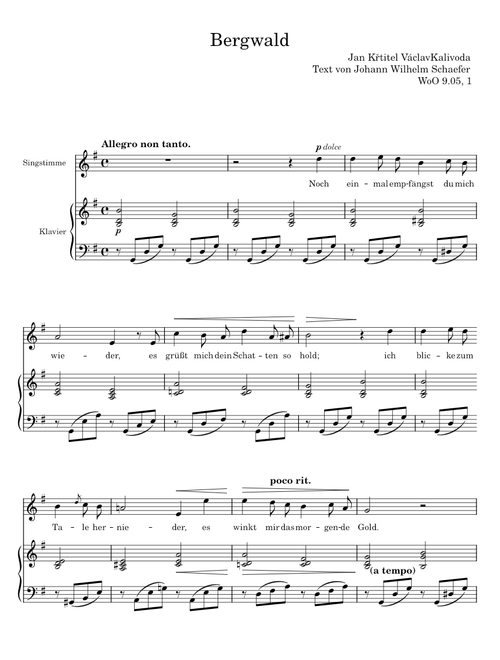 Bergwald - Jan Křtitel Václav Kalivoda