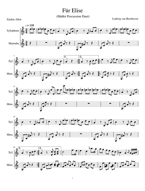 Fur_Elise (Mallet Duet)