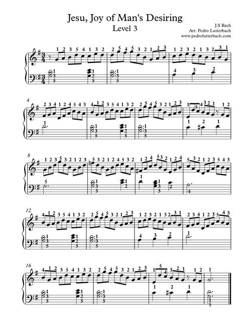 Jesu, Joy of Man's Desire (Arr. Pedro Lutterbach) - J.S Bach (Piano Solo)