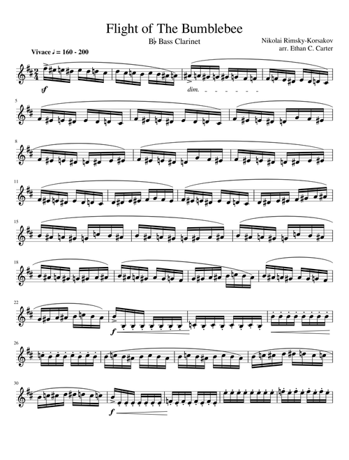Flight of the Bumblebee Bass Clarinet