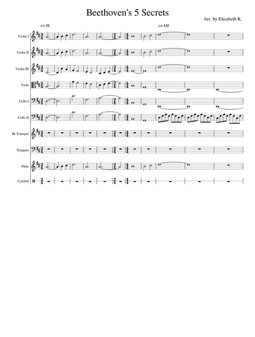 Beethoven's 5 Secrets