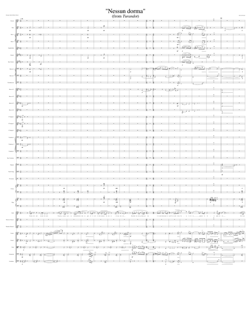 "Nessun dorma" (from Turandot)