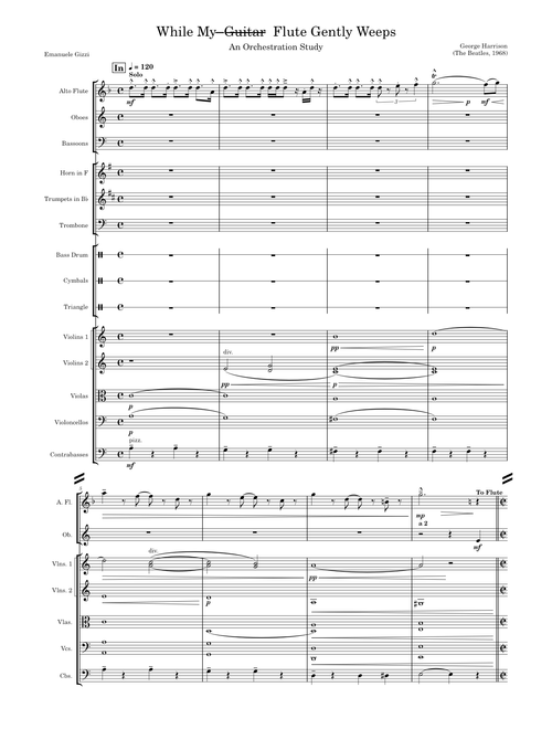 While My  ̶G̶u̶i̶t̶a̶r̶  Flute Gently Weeps