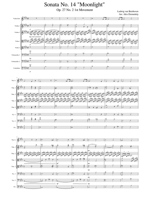 Moonlight Sonata – Ludwig van Beethoven