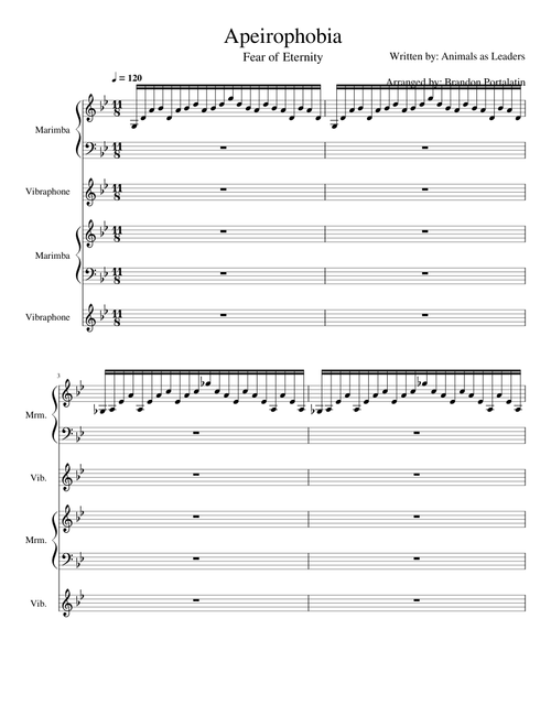 Apeirophobia - Animals As Leaders (for Percussion Duet)