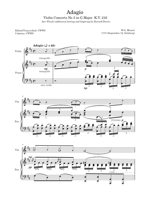 Adagio Violin Concerto 3 in G K.V 216 - WA Mozart (updated)