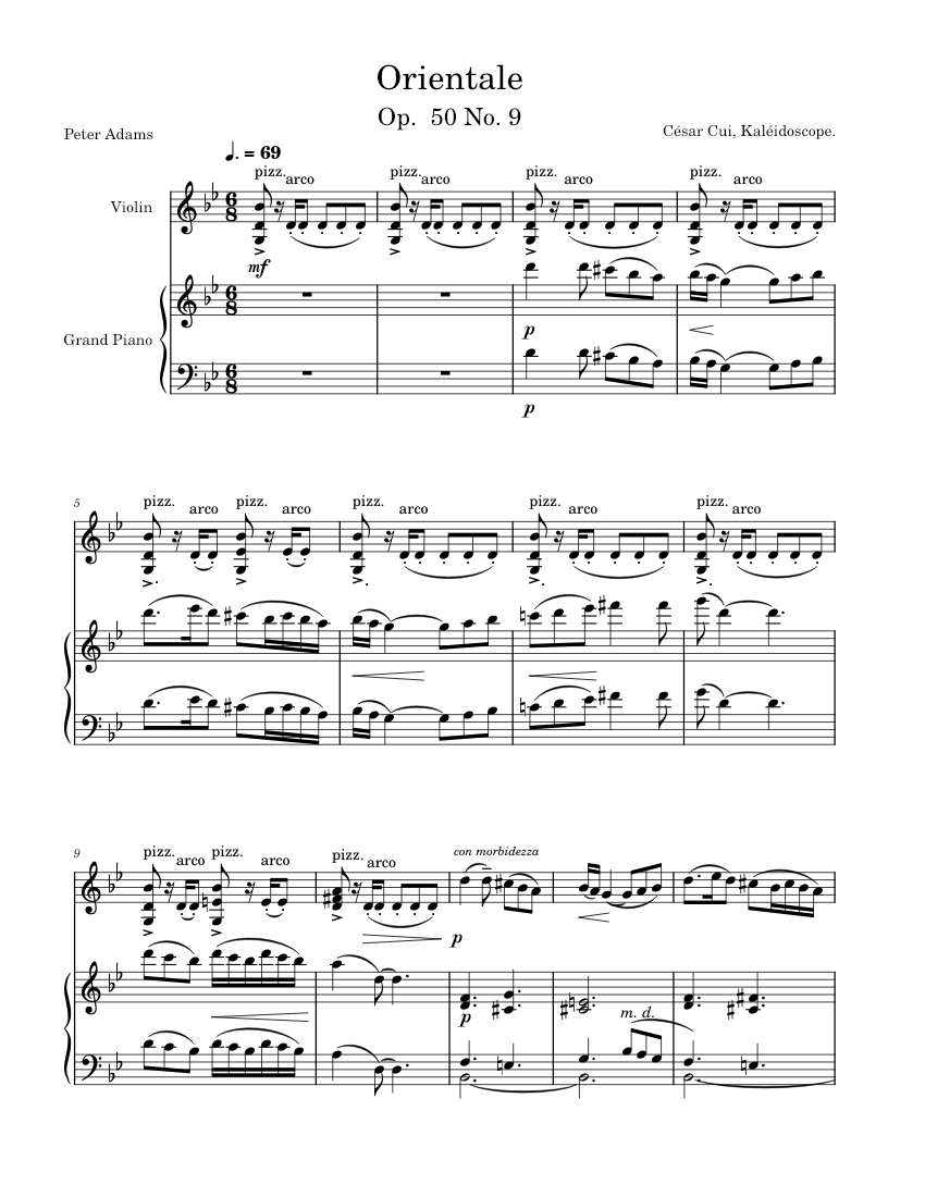 Cesar Cui 25の前奏曲　op64 キュイ：25の前奏曲集 Op. 64 （ビーゲル） - 8.223496 - NML