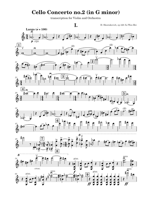 Shostakovich - Cello Concerto No.2 (I. Largo) Transcription for Violin