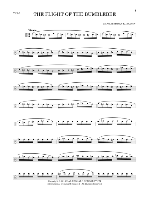 The Flight Of The Bumble Bee - Nicolay Rimsky-Korsakov (Viola Solo)