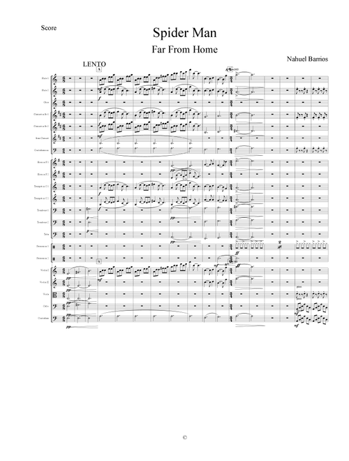 Spider-man: No Way Home Main Theme (Arr. Nahuel Barrios) - Michael G. Giacchino (Chamber Orchestra)