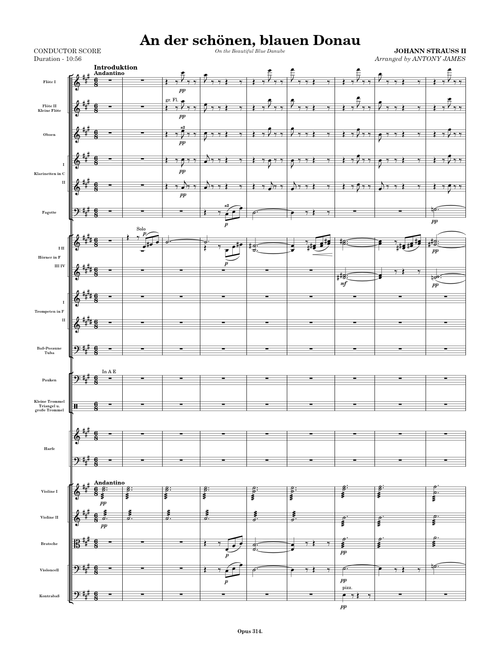 Johann Strauss II - An der schönen, blauen Donau, Opus 314