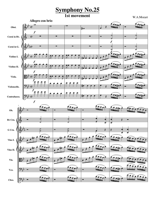 W.A.Mozart - Symphony No. 25 "The Little G minor Symphony" - 1st movement