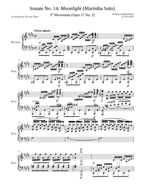 Marimba Solo: Moonlight Sonata (3rd Movement) – Ludwig van Beethoven