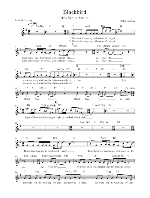 Blackbird – The Beatles Blackbird