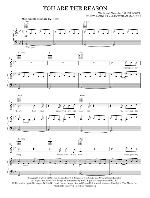You are the reason - Calum Scott (Piano-Vocal-Guitar)