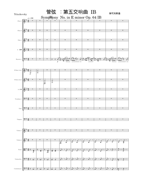 管弦乐：第五交响曲  IB