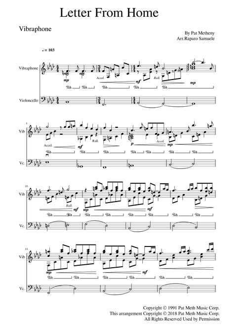 Letter From Home (Arr. Raparo Samuele) - Pat Metheny (Instrumental Duet)