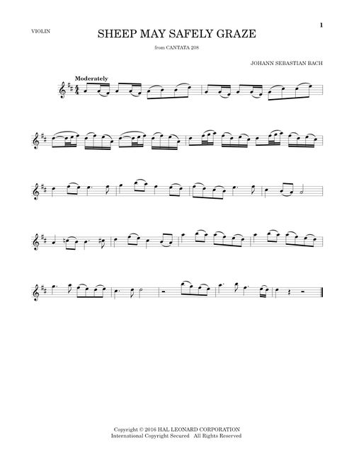 Sheep May Safely Graze - Johann Sebastian Bach (Violin Solo)