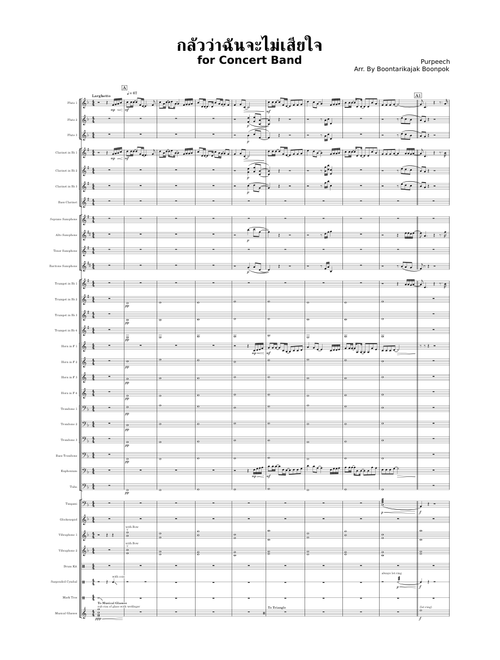 กลัวว่าฉันจะไม่เสียใจ purpeech concert band