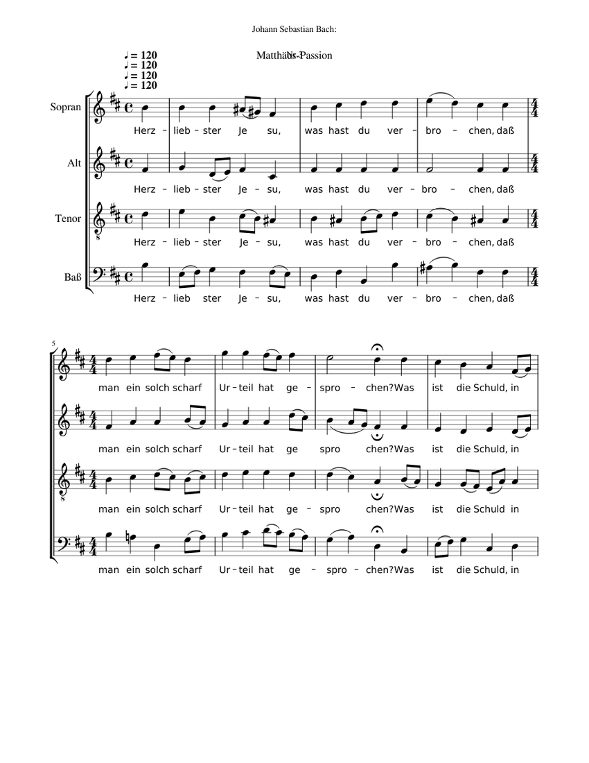 Matthäus-Passion [St Matthew Passion] BWV 244 - Johann Sebastian