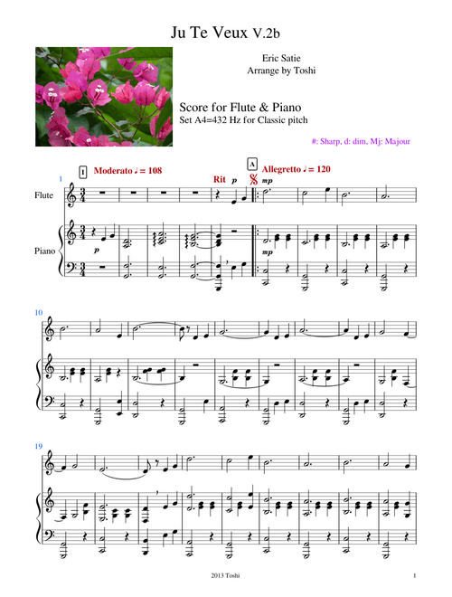 Ju Te Veux - Erick Satie, Update