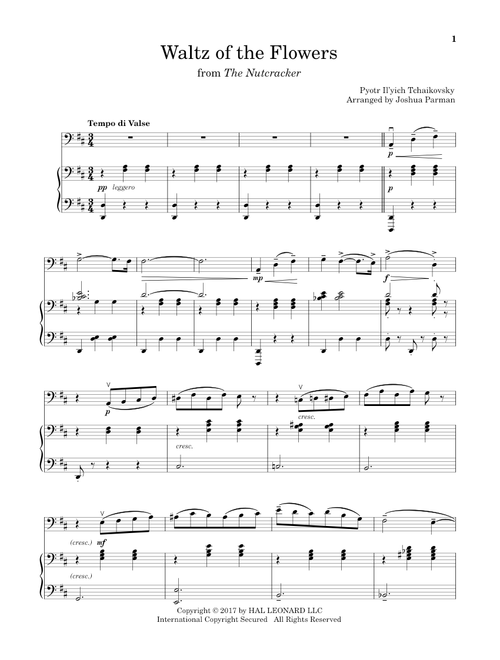 Waltz Of The Flowers - Pyotr Il'yich Tchaikovsky (Cello and Piano)