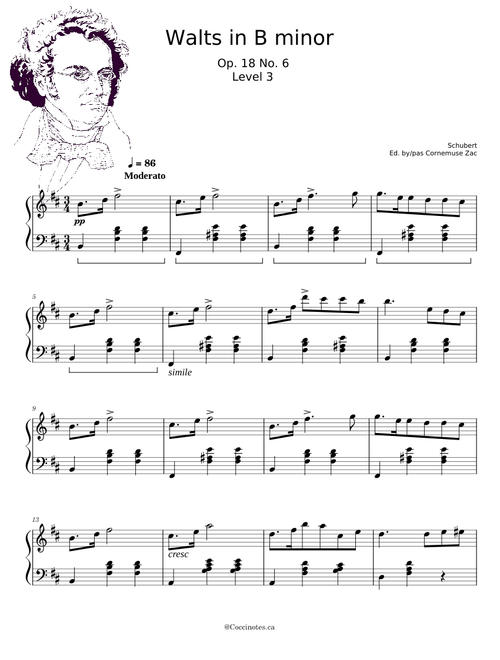 Waltz in B minor - Op 18 No 6 - Schubert - Level 3