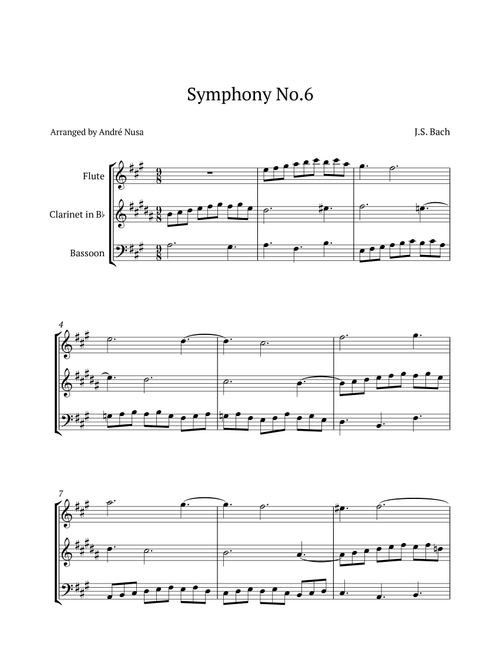 Symphony No.6 (Arr. André Nusa) - J.S. Bach (Woodwind Ensemble)
