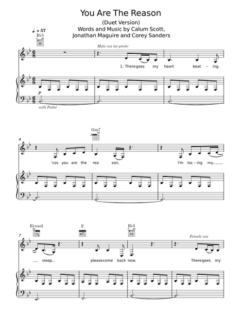 You are the reason - Calum Scott