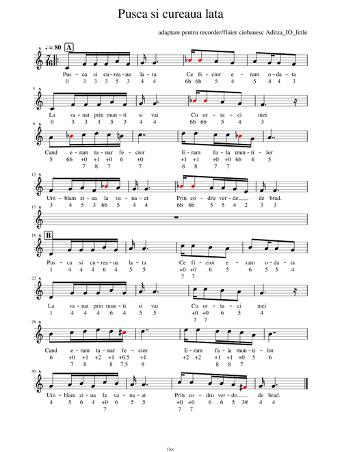 Pusca si cureaua lata - Shepherd flute/recorder Tutorial