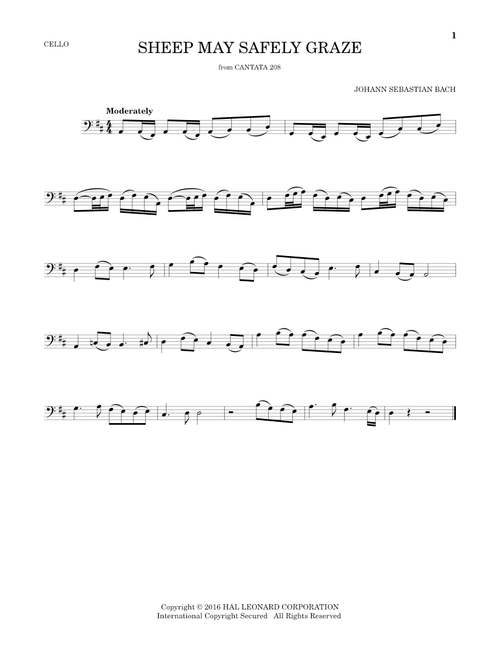 Sheep May Safely Graze - Johann Sebastian Bach (Cello Solo)