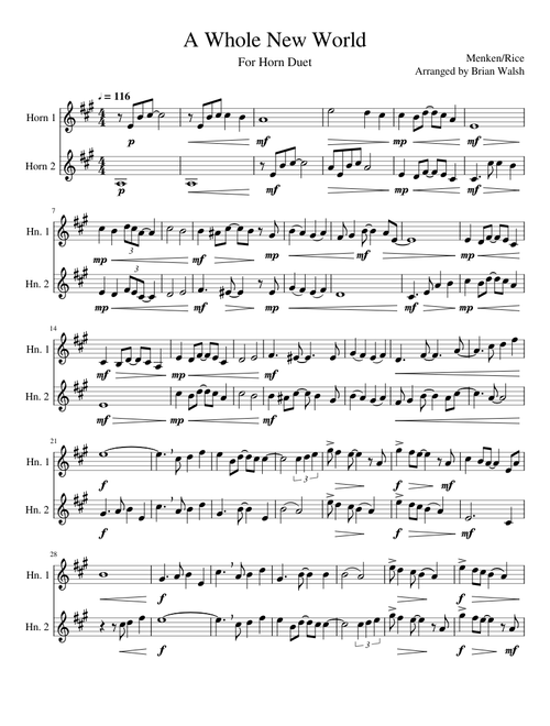 A Whole New World for Horn Duet