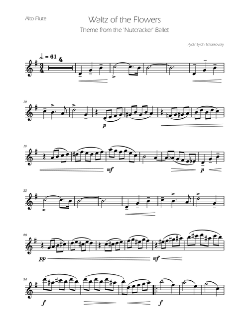 Waltz of the Flowers - The Nutcracker - Alto Flute Solo (Arr. Ygor Nunes) - Tchaikovsky (Flute Solo)