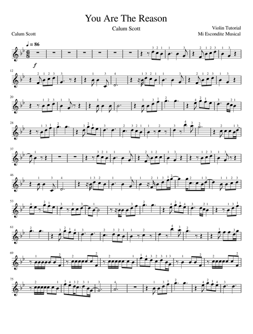 You are the reason – Calum Scott -VIOLIN