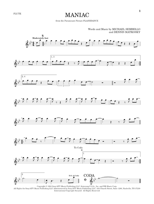 Maniac - Michael Sembello (Flute Solo)
