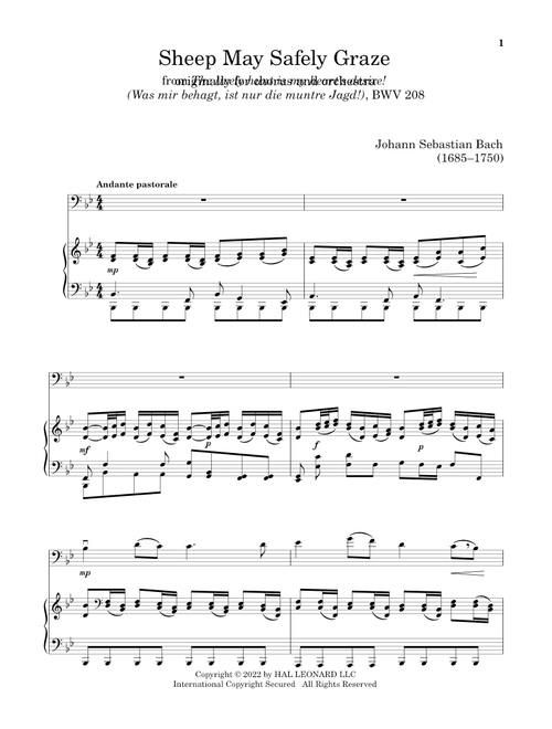Sheep May Safely Graze - Johann Sebastian Bach (Cello and Piano)