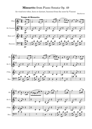 Ludwig Van Beethoven - Sonata Op. 49 No. 1 Sol Minore - Spartito Musicale