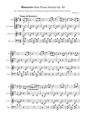 Ludwig Van Beethoven - Sonata Op. 49 No. 1 Sol Minore - Spartito Musicale - Foto 1