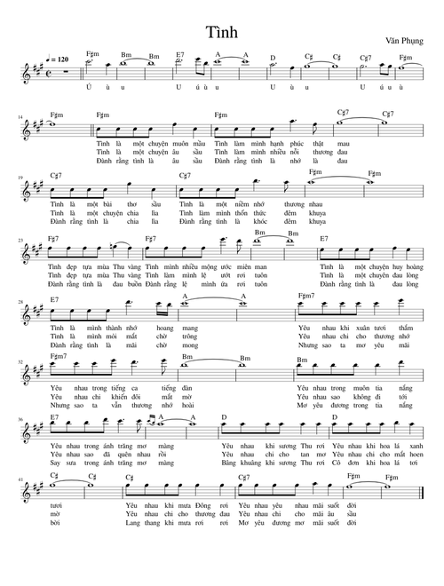 Tình – patrickqpham
