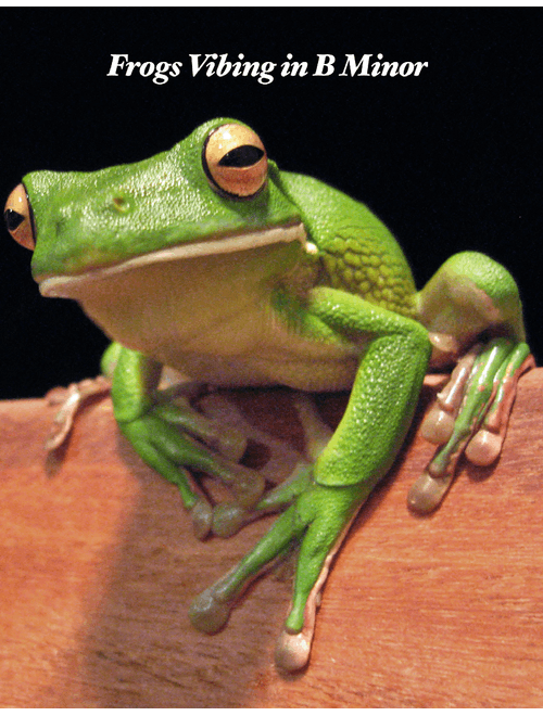 Frogs Vibing in B Minor