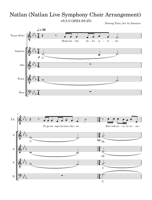 Natlan (Natlan Live Symphony Choir Arrangement)