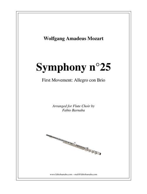 Symphony n°25 by Mozart (first movement) - for Flute Choir (Arr. Fabio Barnaba) - Wolfgang Amadeus Mozart (Woodwind Ensemble)