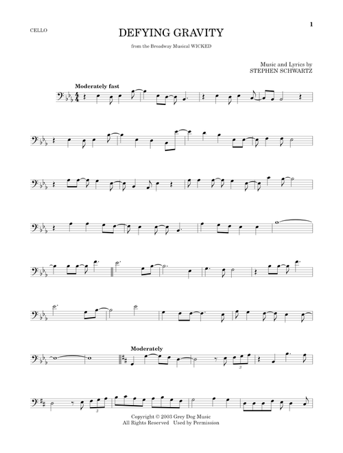 Defying Gravity (from Wicked) - Stephen Schwartz (Cello Solo)