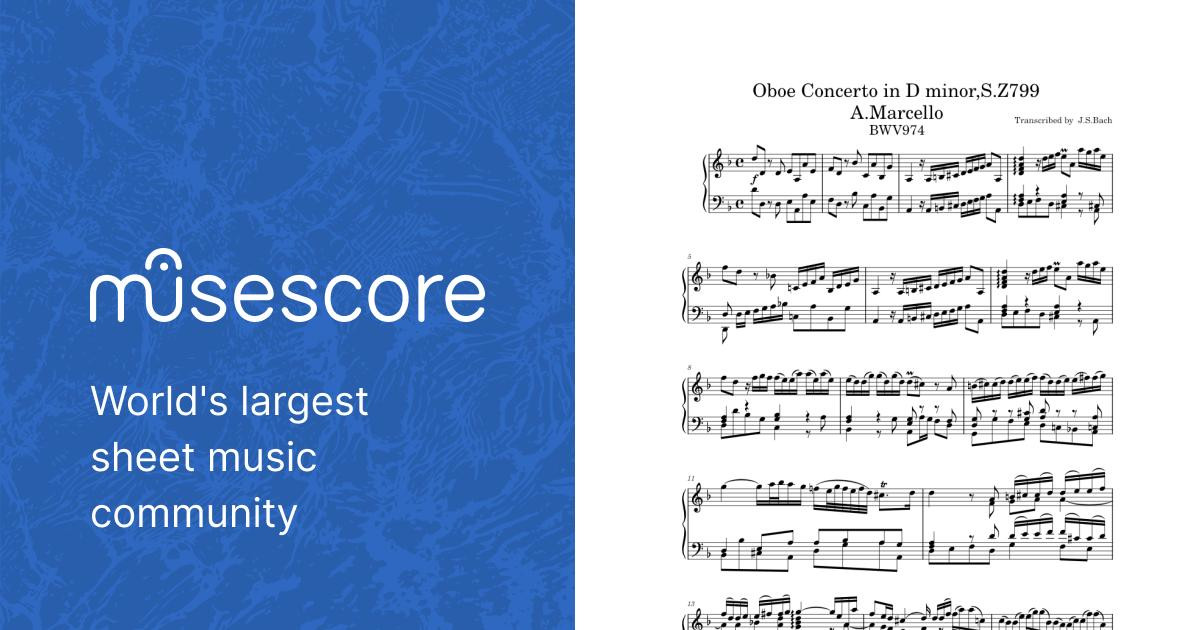 その他 Durero4 Sebastian Concerto in D minor after Alessandro Marcello, BWV 974: II