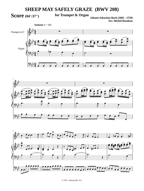 SHEEP MAY SAFELY GRAZE (BWV 208)