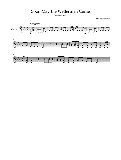 Soon May the Wellerman Come (Arr. Petr Bečvář) - Nathan Evans (Violin Solo)