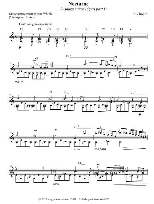 Nocturne   C- sharp minor (Arr. Rod Whittle) - F. Chopin (Instrumental Solo)